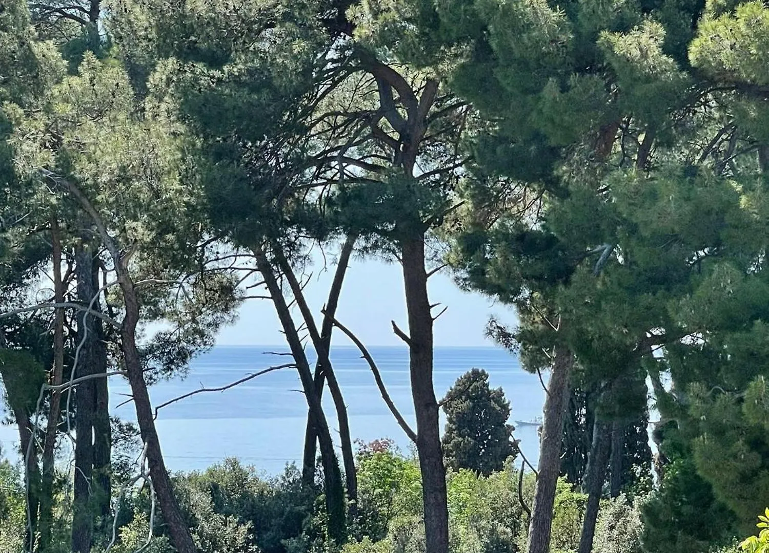 Robi Apartment Rovinj